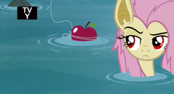 Size: 639x344 | Tagged: safe, edit, edited screencap, screencap, fluttershy, leap of faith, apple, episode crossover, fishing, flutterbat, scene parody, solo, water