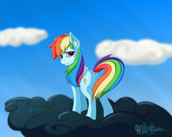 Size: 2261x1800 | Tagged: safe, artist:wildviolet-m, derpibooru import, rainbow dash, pegasus, pony, cloud, cutie mark, dark cloud, female, frown, looking at you, looking back, looking back at you, sad, solo