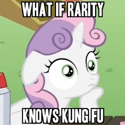 Size: 500x500 | Tagged: safe, rarity, sweetie belle, pony, unicorn, exploitable meme, female, filly, horn, image macro, kung fu, martial artist rarity, meme, solo, sudden clarity sweetie belle, text, two toned mane, white coat, wide eyes