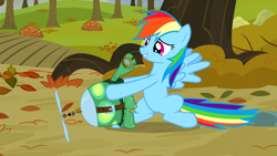 Size: 1920x1080 | Tagged: safe, derpibooru import, screencap, rainbow dash, tank, pegasus, pony, tortoise, tanks for the memories, autumn, duo, i'll fly, leaves, sitting, smiling, spread wings, tree