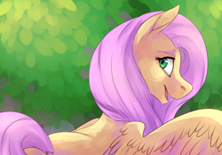 Size: 1344x938 | Tagged: safe, artist:risu-nya, fluttershy, pegasus, pony, bust, female, looking at you, looking back, looking back at you, mare, open mouth, rear view, smiling, solo, spread wings, wings