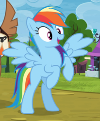 Size: 696x846 | Tagged: safe, derpibooru import, screencap, rainbow dash, pegasus, pony, trade ya, cropped, missing cutie mark, rearing, solo