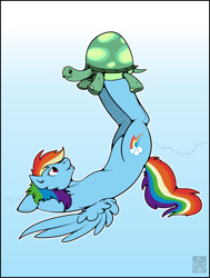 Size: 2288x3020 | Tagged: safe, artist:stormblaze-pegasus, derpibooru import, rainbow dash, tank, pegasus, pony, tortoise, blue coat, female, male, mare, multicolored mane