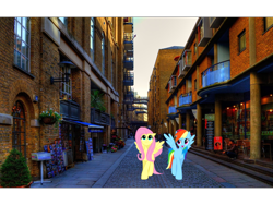 Size: 960x720 | Tagged: safe, derpibooru import, fluttershy, rainbow dash, irl, photo, ponies in real life