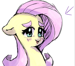 Size: 753x664 | Tagged: safe, artist:misocha, fluttershy, pegasus, pony, arrow, pixiv, solo, thick eyebrows