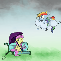 Size: 2000x2000 | Tagged: safe, artist:darknightdragon1, derpibooru import, fluttershy, rainbow dash, pegasus, pony, bench, floppy ears, frown, looking up, prone, raincloud, sad, sitting, umbrella, wide eyes