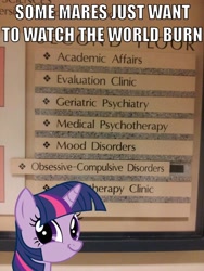 Size: 612x816 | Tagged: safe, derpibooru import, twilight sparkle, batman, image macro, irony, pure unfiltered evil, some men just want to watch the world burn, twiface