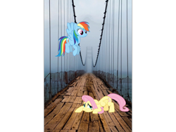 Size: 960x720 | Tagged: safe, derpibooru import, fluttershy, rainbow dash, flying, irl, photo, ponies in real life, scared, vector