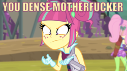 Size: 1280x720 | Tagged: safe, sour sweet, equestria girls, friendship games, gunshow, meme, vulgar, you dense motherfucker