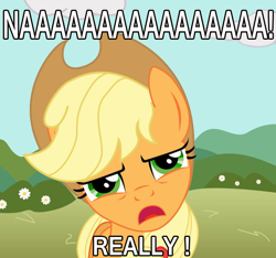 Size: 642x600 | Tagged: safe, applejack, earth pony, pony, annoyed, female, mare, reaction image, solo