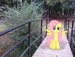 Size: 2592x1944 | Tagged: safe, artist:scrimpeh, artist:tokkazutara1164, fluttershy, bridge, irl, photo, ponies in real life, shadow, solo, walkway