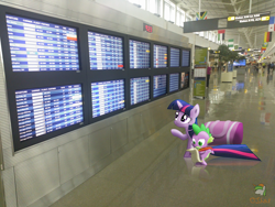 Size: 3264x2448 | Tagged: safe, artist:ojhat, derpibooru import, spike, twilight sparkle, airport, irl, photo, ponies in real life