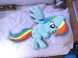 Size: 750x562 | Tagged: safe, artist:tesla51, artist:waranto, derpibooru import, rainbow dash, bed, crying, curled up, irl, photo, ponies in real life, sad, solo, vector