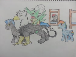 Size: 800x600 | Tagged: safe, artist:thatdamntenpin, derpibooru import, rainbow dash, thunderlane, oc, oc:little star, oc:matteo, oc:squall, oc:twister, griffon, pegasus, pony, fanfic:piercing the heavens, fanfic