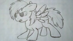 Size: 1280x719 | Tagged: safe, artist:shamrock, derpibooru import, rainbow dash, pegasus, pony, filly, monochrome, solo, traditional art, younger