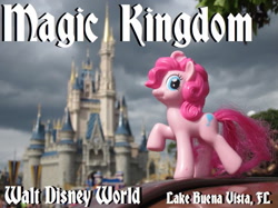 Size: 681x510 | Tagged: safe, pinkie pie, earth pony, pony, disney, disney world, ponies around the world, toy, walt disney world