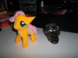 Size: 2592x1944 | Tagged: safe, fluttershy, bootleg, crystal skull, irl, photo, plushie