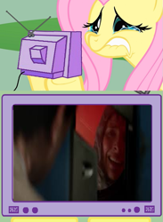 Size: 563x771 | Tagged: safe, fluttershy, pegasus, pony, exploitable meme, godzilla (series), godzilla 2014, janjira, juliette binoche, meme, nuclear facility, obligatory pony, sandra brody, tearjerker, tv meme