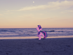 Size: 2560x1920 | Tagged: safe, artist:colorfulbrony, derpibooru import, twilight sparkle, beach, irl, moon, ocean, photo, ponies in real life, vector