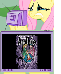 Size: 640x771 | Tagged: safe, fluttershy, pegasus, pony, archie, archie comics, exploitable meme, meme, obligatory pony, sad, tv meme