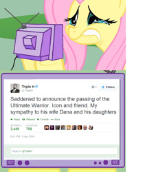 Size: 640x771 | Tagged: safe, fluttershy, pegasus, pony, exploitable meme, meme, obituary, obligatory pony, the ultimate warrior, tv meme, wwe