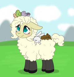 Size: 1050x1100 | Tagged: safe, artist:marindashy, angel bunny, fluttershy, bird, sheep, squirrel, fluttersheep, fluttershy answers, species swap