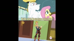 Size: 1280x720 | Tagged: safe, bulk biceps, fluttershy, pegasus, pony, rainbow falls, blonde, blonde hair, blonde mane, blonde tail, blue eyes, correction, curtain, ear piercing, exploitable meme, female, guybrush threepwood, looking to side, looking to the right, male, mare, meme, monkey island, open mouth, piercing, pink mane, pink tail, red eyes, replacement meme, smiling, spread wings, stallion, tales of monkey island, text, white coat, wings, yellow coat