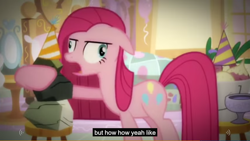 Size: 1366x768 | Tagged: safe, artist:imnotawreckingball, screencap, pinkie pie, rocky, earth pony, pony, meme, pinkamena diane pie, youtube caption, youtube poop