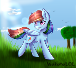 Size: 2000x1800 | Tagged: safe, artist:sonigiraldo, derpibooru import, rainbow dash, pegasus, pony, chromatic aberration, cloud, cutie mark, female, field, grass, solo, tree