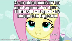 Size: 960x540 | Tagged: safe, fluttershy, breezie, buffalo, changeling, fruit bat, griffon, pegasus, pony, sea pony, friendship is witchcraft, bedroom eyes, cute from the hip, headcanon, image macro, language, meme, solo