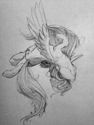 Size: 2448x3264 | Tagged: safe, artist:nannoot, fluttershy, pegasus, pony, monochrome, solo, traditional art