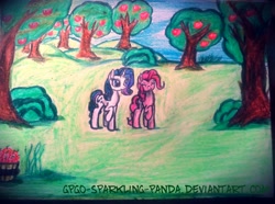 Size: 2312x1719 | Tagged: safe, artist:gpgo-sparkling-panda, pinkie pie, rarity, earth pony, pony, unicorn, apple orchard, camera, traditional art