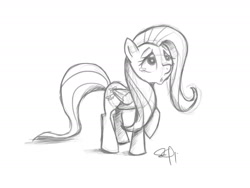 Size: 2400x1800 | Tagged: safe, artist:yikomega, fluttershy, pegasus, pony, monochrome, sketch, solo