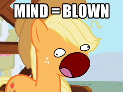 Size: 480x360 | Tagged: safe, applejack, earth pony, pony, mind blown, reaction image, solo, sweetie derelle