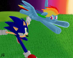 Size: 1280x1024 | Tagged: safe, artist:megaartist923, derpibooru import, rainbow dash, pegasus, pony, crossover, race, sonic the hedgehog, sonic the hedgehog (series), sunset