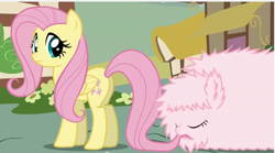 Size: 642x356 | Tagged: safe, artist:mixermike622, fluttershy, oc, oc:fluffle puff, pegasus, pony