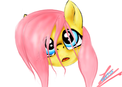 Size: 3500x2500 | Tagged: safe, artist:spriterjrda, fluttershy, pegasus, pony, head, simple background, solo, transparent background