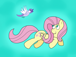 Size: 1024x768 | Tagged: safe, artist:fezcow, fluttershy, bird, pegasus, pony, female, mare, solo