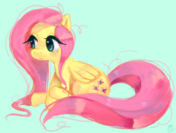 Size: 1000x750 | Tagged: safe, artist:rizusaur, fluttershy, pegasus, pony, female, mare, solo