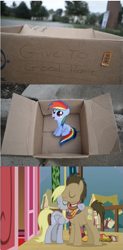 Size: 489x991 | Tagged: safe, derpy hooves, doctor whooves, pegasus, pony, fanfic:my little dashie, slice of life (episode), box, cardboard box, clothes, dashie meme, exploitable meme, female, hug, mare, meme, scarf