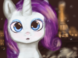 Size: 2048x1536 | Tagged: safe, artist:akivia-jones-404, rarity, pony, unicorn, female, horn, mare, paris, purple mane, solo, white coat