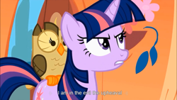 Size: 750x422 | Tagged: safe, derpibooru import, screencap, twilight sparkle, meme, youtube caption