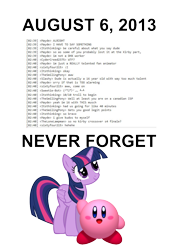 Size: 744x1052 | Tagged: safe, derpibooru import, twilight sparkle, twilight sparkle (alicorn), alicorn, crossover, derpibooru, irc, kirby, kirby (character), meta, text, wall of text