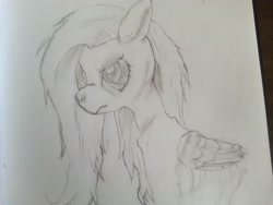 Size: 3264x2448 | Tagged: safe, artist:rainb0wdashie, fluttershy, pegasus, pony, anorexic, ask-anorexic-fluttershy, sketch, solo