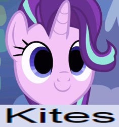 Size: 809x862 | Tagged: safe, edit, edited screencap, screencap, starlight glimmer, pony, unicorn, caption, empty eyes, expand dong, exploitable meme, image macro, kite, meme, no catchlights, smiling, that pony sure does love kites