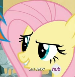 Size: 725x749 | Tagged: safe, screencap, fluttershy, pegasus, pony, trade ya, all new, face, hub logo, lip bite, raised eyebrow, smiling, solo