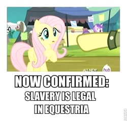 Size: 529x506 | Tagged: safe, edit, edited screencap, screencap, amethyst star, fluttershy, mr. waddle, sparkler, pegasus, pony, trade ya, caption, drama, drama bait, full set, op is a cuck, op is trying to start shit, op started shit, overanalyzing, slavery, teddie safari