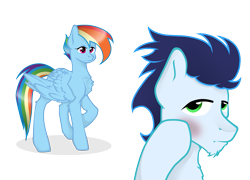 Size: 1309x943 | Tagged: safe, artist:mikoneerd, derpibooru import, rainbow dash, soarin', pegasus, pony, blushing, female, male, shipping, simple background, soarindash, straight, transparent background