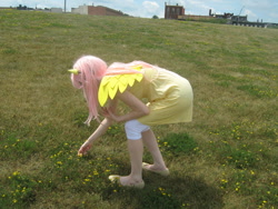 Size: 1024x768 | Tagged: safe, artist:otakuwolf329, fluttershy, human, cosplay, irl, irl human, photo, solo