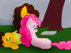 Size: 1024x768 | Tagged: safe, artist:biosonic100, cheese sandwich, pinkie pie, earth pony, pony, cheesepie, female, grave, male, shipping, straight